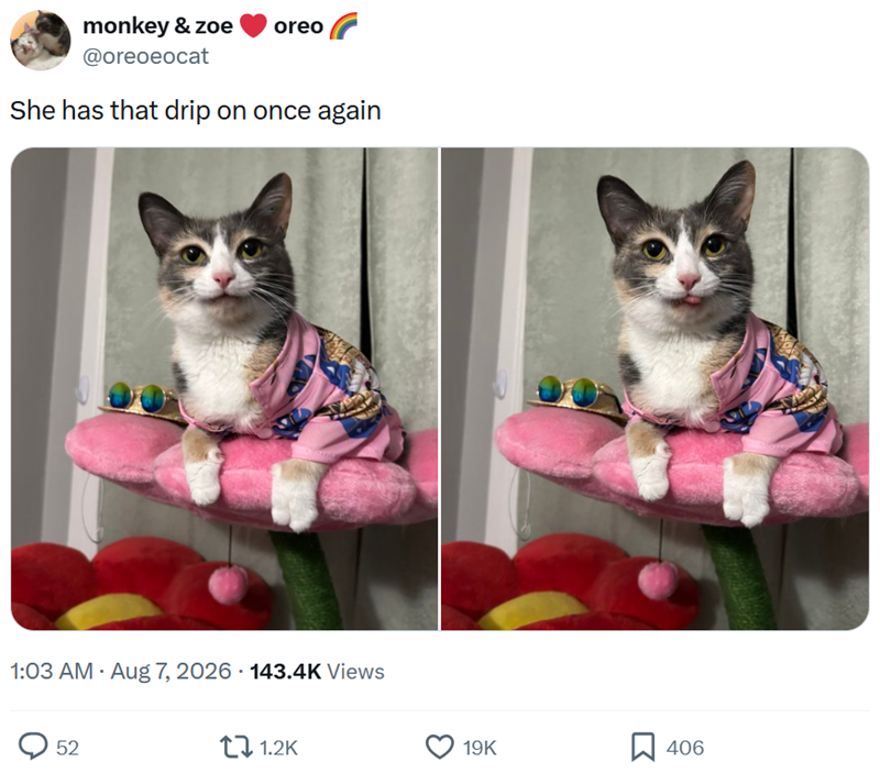 monkey & zoe @oreoeocat oreo She has that drip on once again 1:03 AM - Aug 7, 2026 143.4K Views 52 1.2K 19K ☐ 406