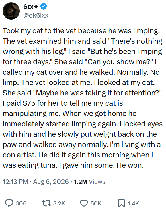 6IX◆ @ok6ixx Took my cat to the vet because he was limping. The vet examined him and said "There's nothing wrong with his leg." I said "But he's been limping for three days." She said "Can you show me?" I called my cat over and he walked. Normally. No limp. The vet looked at me. I looked at my cat. She said "Maybe he was faking it for attention?" I paid $75 for her to tell me my cat is manipulating me. When we got home he immediately started limping again. I locked eyes with him and he slowly pu