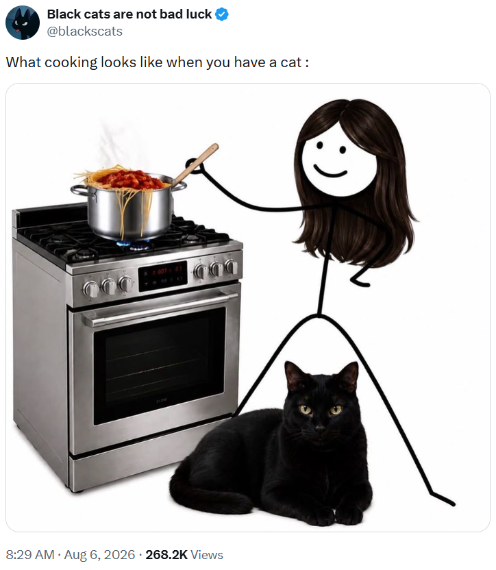 Black cats are not bad luck @blackscats What cooking looks like when you have a cat : . 8:29 AM • Aug 6, 2026 268.2K Views