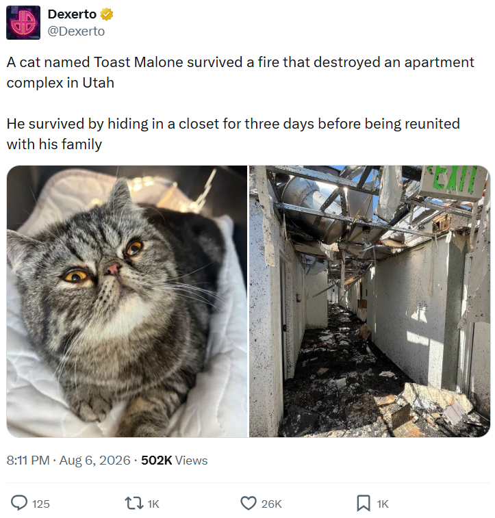 Dexerto @Dexerto A cat named Toast Malone survived a fire that destroyed an apartment complex in Utah He survived by hiding in a closet for three days before being reunited with his family . 8:11 PM - Aug 6, 2026 502K Views 125 11K 26K 1K