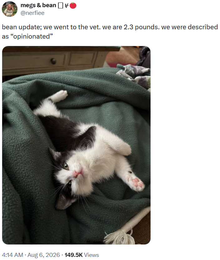 megs & bean @nerfiee bean update; we went to the vet. we are 2.3 pounds. we were described as "opinionated" 4:14 AM • Aug 6, 2026 149.5K Views