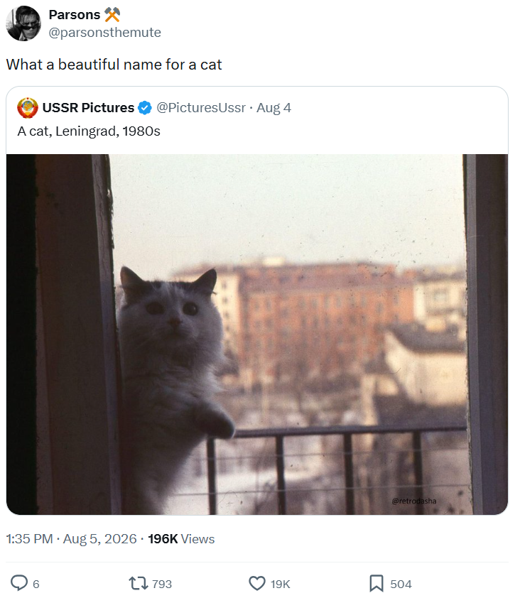 Parsons @parsonsthemute What a beautiful name for a cat USSR Pictures A cat, Leningrad, 1980s @Pictures Ussr • Aug 4 . 1:35 PM • Aug 5, 2026 196K Views 6 1793 @retrodasha 19K 504