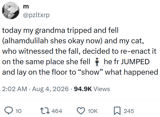 m @pzltxrp today my grandma tripped and fell (alhamdulilah shes okay now) and my cat, who witnessed the fall, decided to re-enact it on the same place she fell ♥ he fr JUMPED and lay on the floor to “show” what happened • 2:02 AM • Aug 4, 2026 · 94.9K Views 10 17464 10K ☐ 245