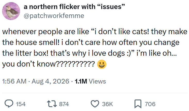 a northern flicker with "issues" @patchworkfemme whenever people are like “i don't like cats! they make the house smell! i don't care how often you change the litter box! that's why i love dogs :)" i'm like oh... you don't know?????????? 1:56 AM • Aug 4, 2026 1.1M Views 154 17874 36K 706