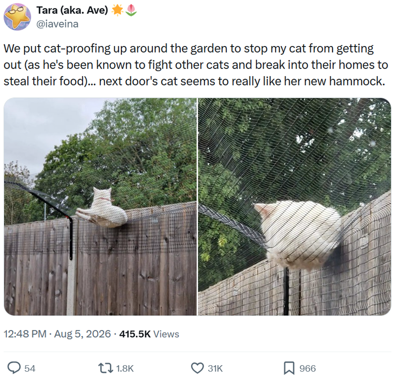Tara (aka. Ave) @iaveina We put cat-proofing up around the garden to stop my cat from getting out (as he's been known to fight other cats and break into their homes to steal their food)... next door's cat seems to really like her new hammock. 12:48 PM • Aug 5, 2026 415.5K Views 54 . 1.8K 31K 966