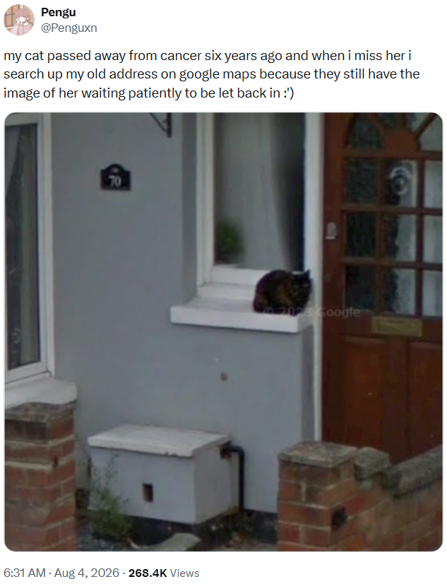 Pengu @Penguxn my cat passed away from cancer six years ago and when i miss her i search up my old address on google maps because they still have the image of her waiting patiently to be let back in :') 70 6:31 AM - Aug 4, 2026 - 268.4K Views 202 Google