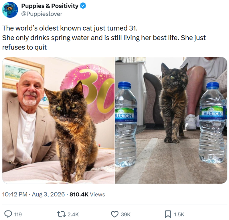 Puppies & Positivity @Puppieslover The world's oldest known cat just turned 31. She only drinks spring water and is still living her best life. She just refuses to quit HD BUXTON UXTON 10:42 PM - Aug 3, 2026 810.4K Views 119 2.4K 39K 1.5K