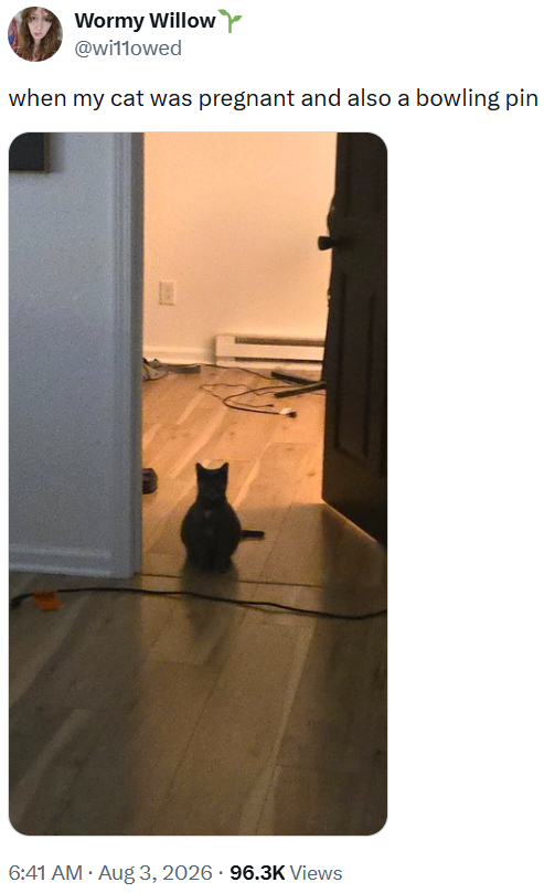 Wormy Willow @wi11owed when my cat was pregnant and also a bowling pin . 6:41 AM • Aug 3, 2026 96.3K Views