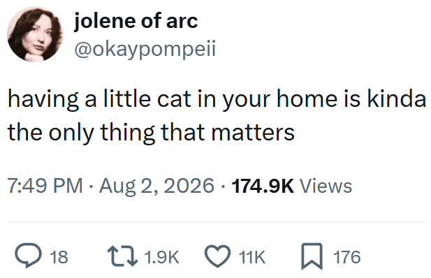 jolene of arc @okaypompeii having a little cat in your home is kinda the only thing that matters 7:49 PM • Aug 2, 2026 174.9K Views 18 1.9K 11K ☐ 176