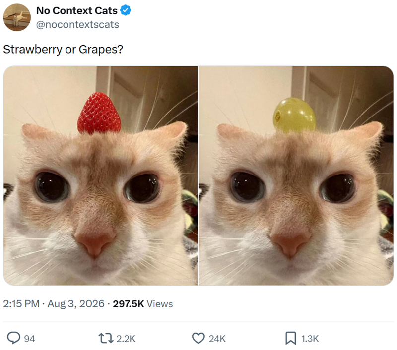 No Context Cats @nocontextscats Strawberry or Grapes? 2:15 PM - Aug 3, 2026 - 297.5K Views 94 2.2K 24K 1.3K