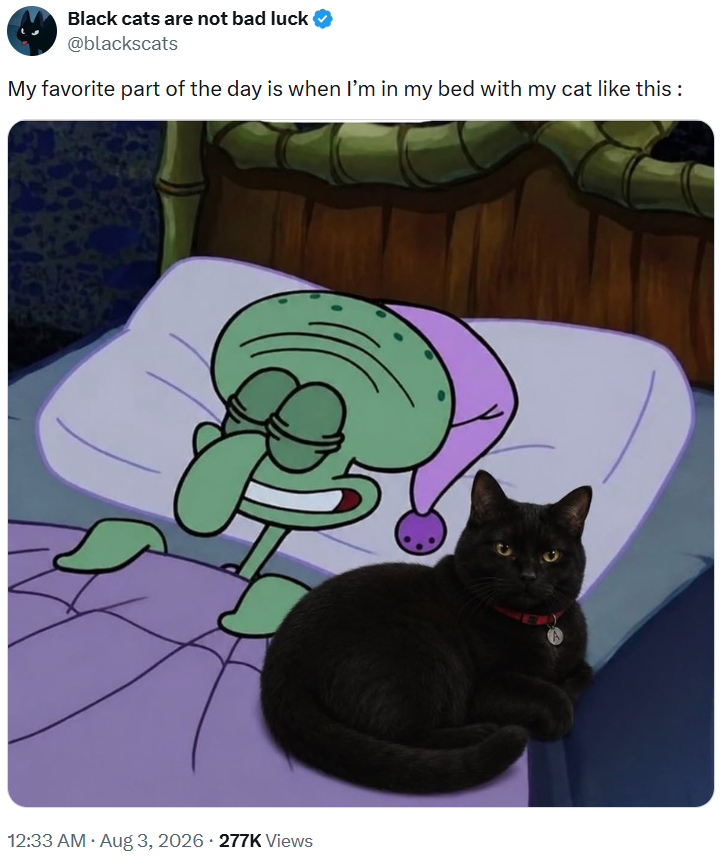 Black cats are not bad luck @blackscats My favorite part of the day is when I'm in my bed with my cat like this: . 12:33 AM • Aug 3, 2026 277K Views