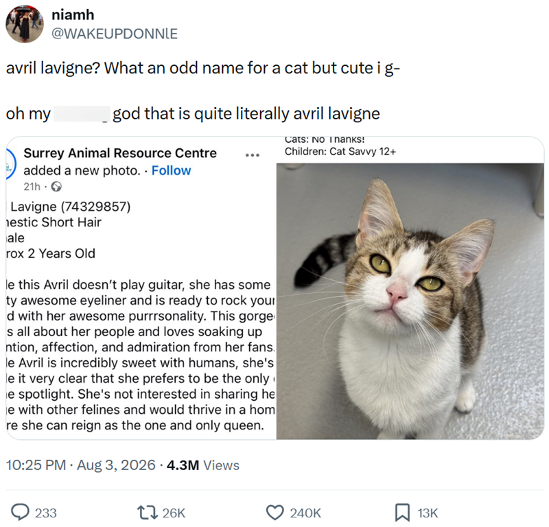 niamh @WAKEUPDONNLE avril lavigne? What an odd name for a cat but cute i g- oh my god that is quite literally avril lavigne Surrey Animal Resource Centre Cats: No Thanks! Children: Cat Savvy 12+ added a new photo. . Follow 21h -> Lavigne (74329857) estic Short Hair ale rox 2 Years Old le this Avril doesn't play guitar, she has some ty awesome eyeliner and is ready to rock your d with her awesome purrrsonality. This gorge s all about her people and loves soaking up ntion, affection, and admiratio