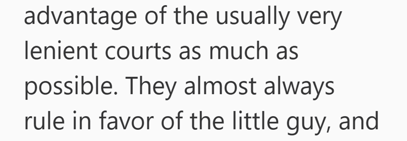 advantage of the usually very lenient courts as much as possible. They almost always rule in favor of the little guy, and