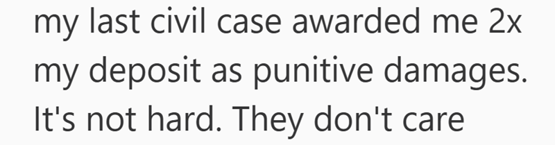 my last civil case awarded me 2x my deposit as punitive damages. It's not hard. They don't care