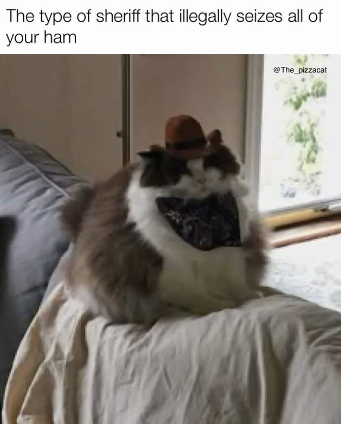 The type of sheriff that illegally seizes all of your ham @The_pizzacat
