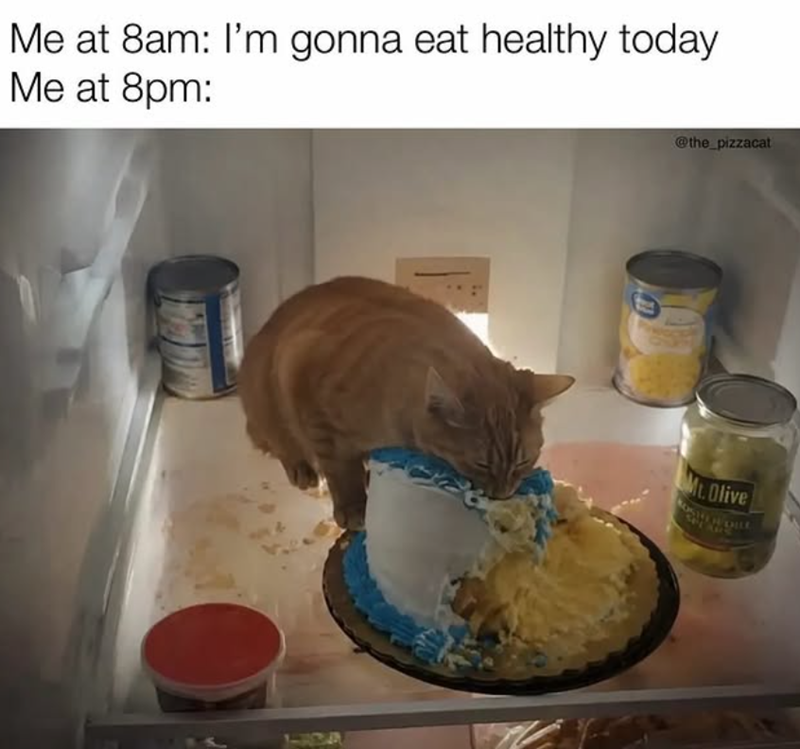 Me at 8am: I'm gonna eat healthy today Me at 8pm: @the_pizzacat Mt. Olive SPEAR