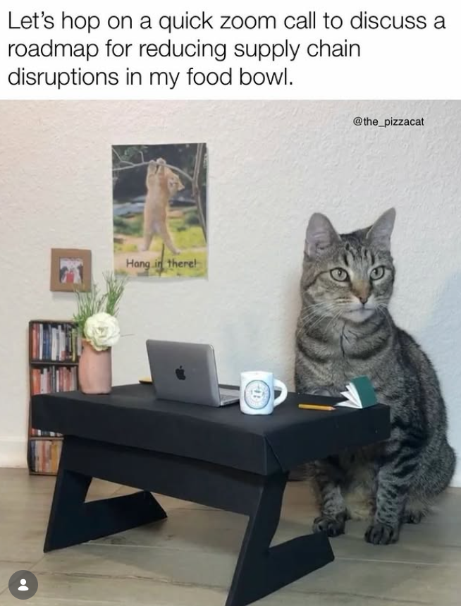 Let's hop on a quick zoom call to discuss a roadmap for reducing supply chain disruptions in my food bowl. Hang in there @the_pizzacat