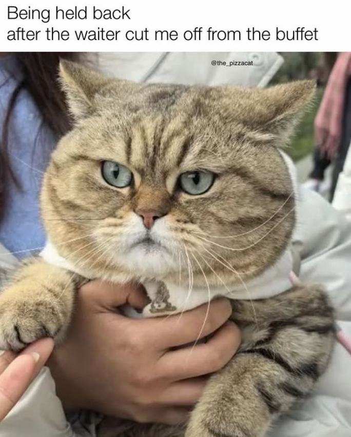 Being held back after the waiter cut me off from the buffet @the_pizzacat