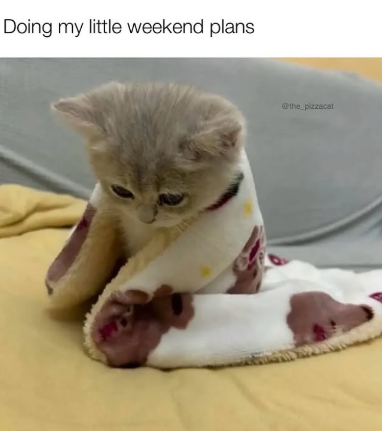 Doing my little weekend plans @the_pizzacat