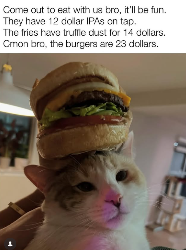 Come out to eat with us bro, it'll be fun. They have 12 dollar IPAs on tap. The fries have truffle dust for 14 dollars. Cmon bro, the burgers are 23 dollars.