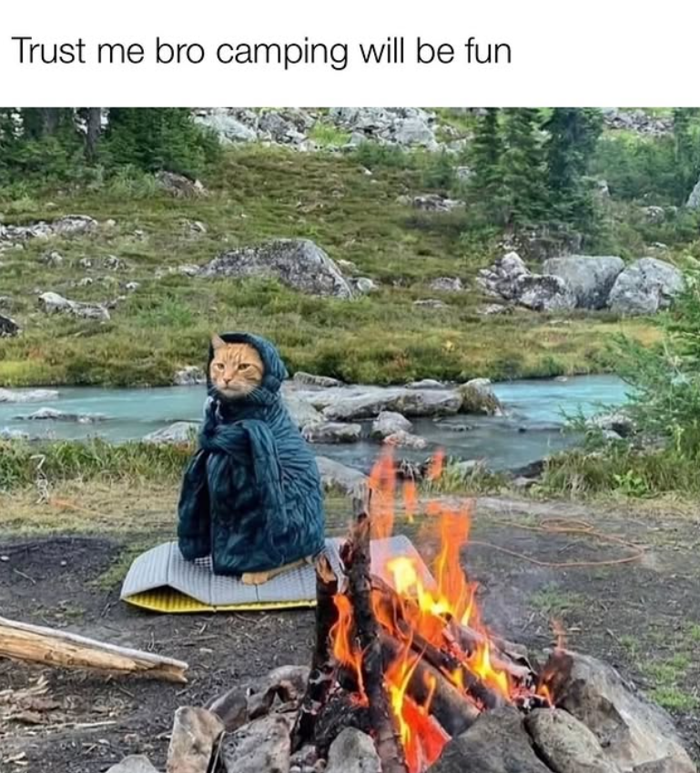 Trust me bro camping will be fun