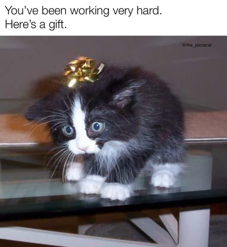 You've been working very hard. Here's a gift. @the_pizzacat