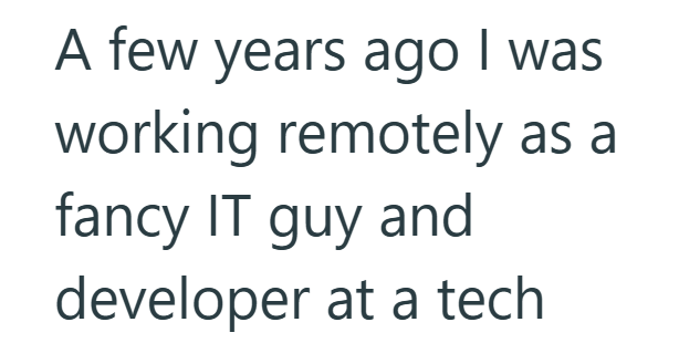 A few years ago I was working remotely as a fancy IT guy and developer at a tech