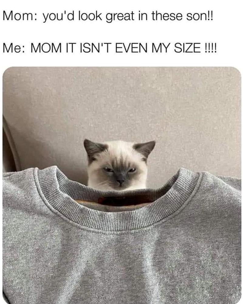 Mom: you'd look great in these son!! Me: MOM IT ISN'T EVEN MY SIZE !!!!