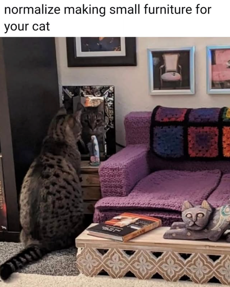 normalize making small furniture for your cat