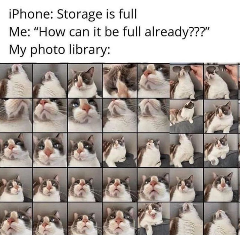 iPhone: Storage is full Me: "How can it be full already???" My photo library: