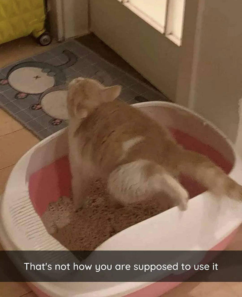That's not how you are supposed to use it