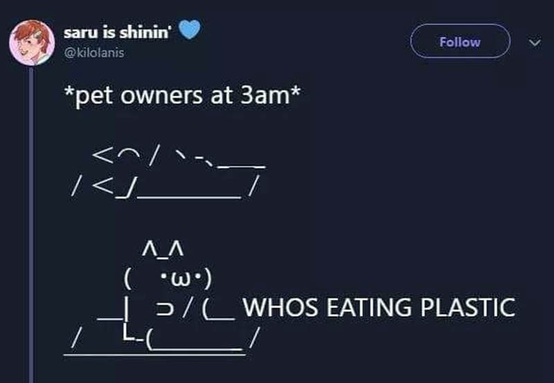 saru is shinin' @kilolanis *pet owners at 3am* Follow ΛΛ ( •w•) >/WHOS EATING PLASTIC
