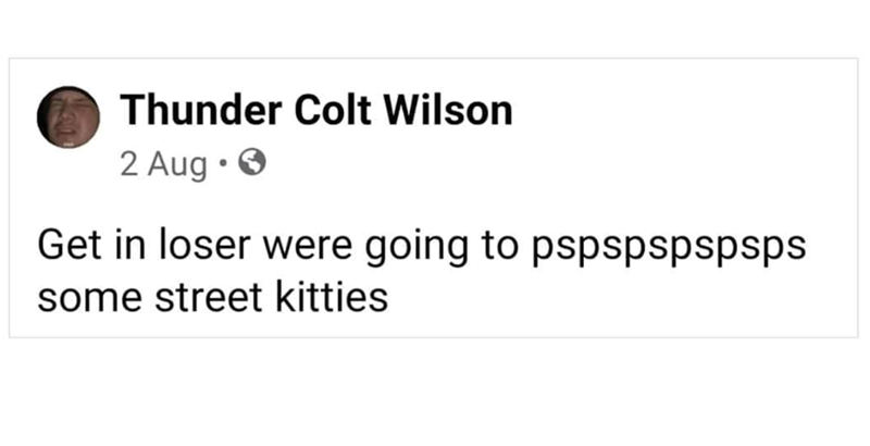 Thunder Colt Wilson 2 Aug. Get in loser were going to pspspspspsps some street kitties