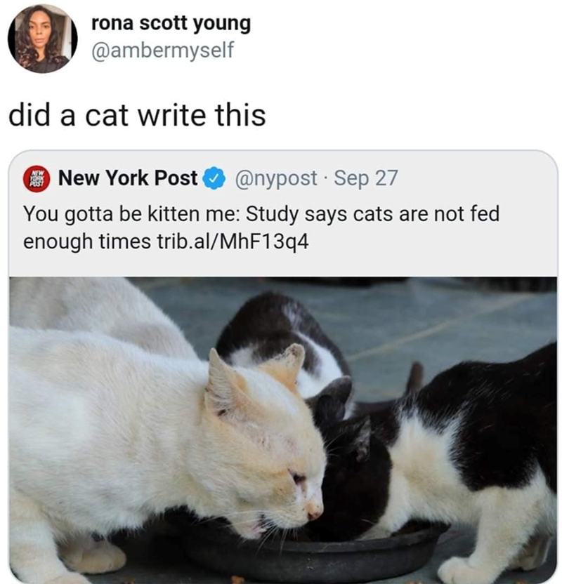 rona scott young @ambermyself did a cat write this NEW New York Post @nypost Sep 27 . You gotta be kitten me: Study says cats are not fed enough times trib.al/MhF13q4