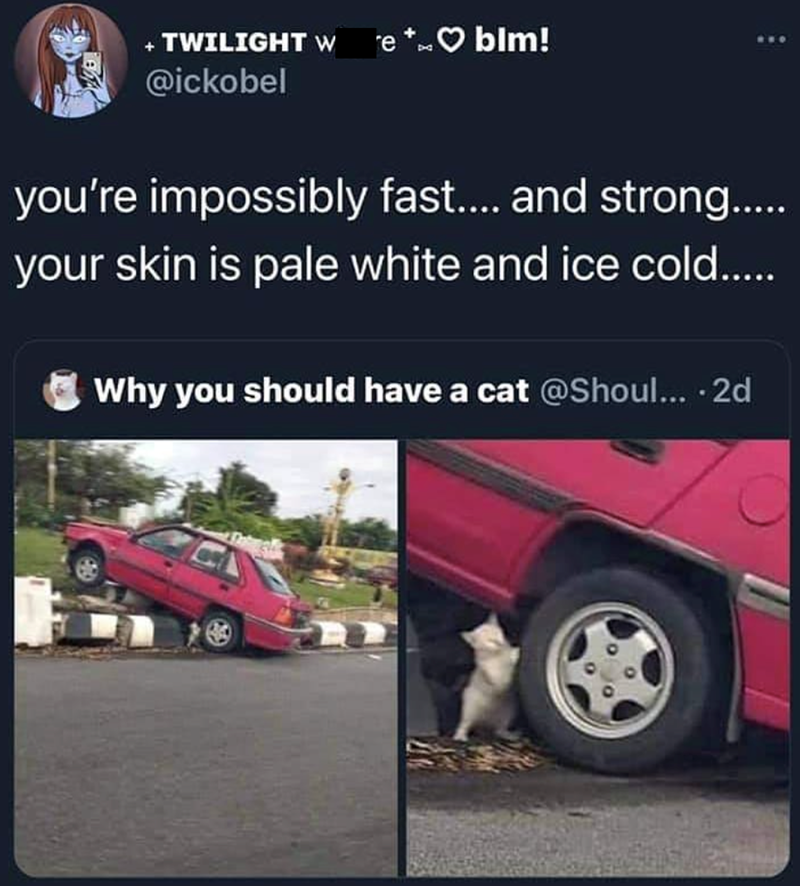 + TWILIGHT W e + blm! @ickobel you're impossibly fast.... and strong..... your skin is pale white and ice cold...... Why you should have a cat @Shoul....2d