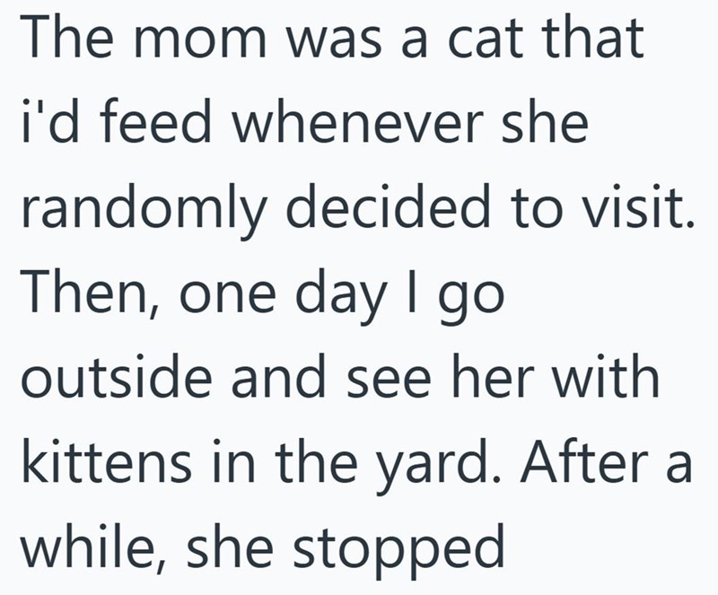 The mom was a cat that i'd feed whenever she randomly decided to visit. Then, one day I go outside and see her with kittens in the yard. After a while, she stopped