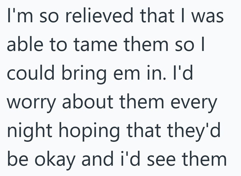 I'm so relieved that I was able to tame them so I could bring em in. I'd worry about them every night hoping that they'd be okay and i'd see them.