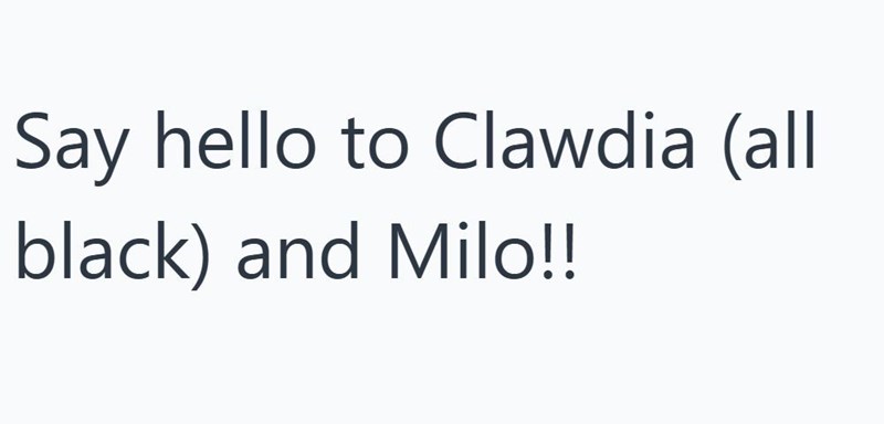 Say hello to Clawdia (all black) and Milo!!