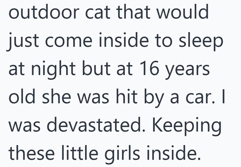 outdoor cat that would just come inside to sleep at night but at 16 years old she was hit by a car. I was devastated. Keeping these little girls inside.