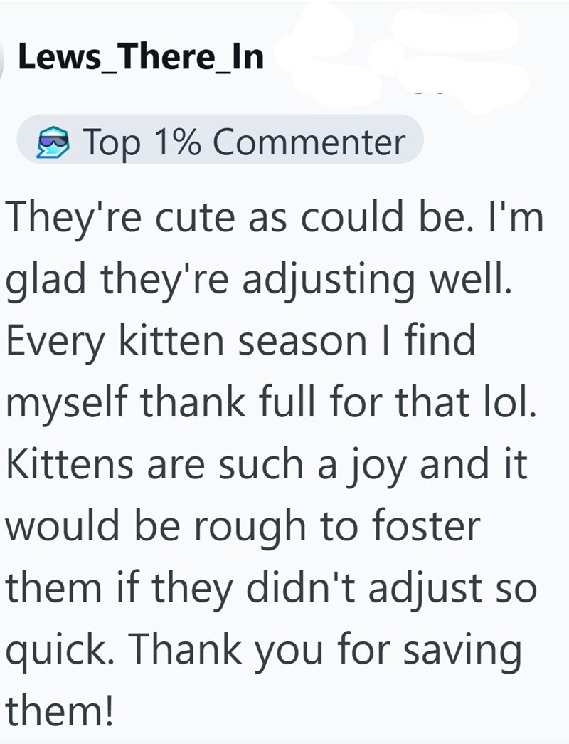 Lews_There_In Top 1% Commenter They're cute as could be. I'm glad they're adjusting well. Every kitten season I find myself thank full for that lol. Kittens are such a joy and it would be rough to foster them if they didn't adjust so quick. Thank you for saving them!