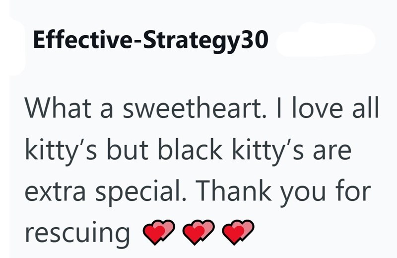 Effective-Strategy30 What a sweetheart. I love all kitty's but black kitty's are extra special. Thank you for rescuing