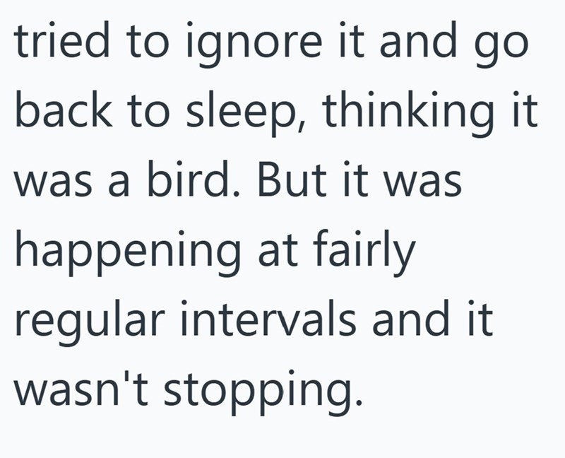 tried to ignore it and go back to sleep, thinking it was a bird. But it was happening at fairly regular intervals and it wasn't stopping.