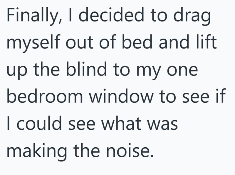 Finally, I decided to drag myself out of bed and lift up the blind to my one bedroom window to see if I could see what was making the noise.