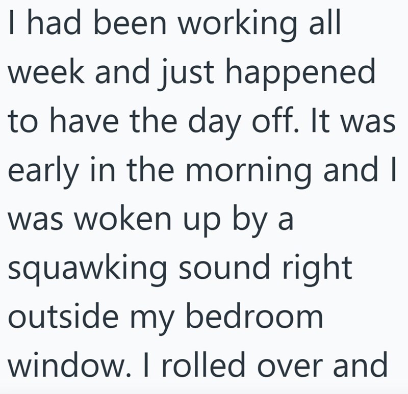 I had been working all week and just happened to have the day off. It was early in the morning and I was woken up by a squawking sound right outside my bedroom window. I rolled over and
