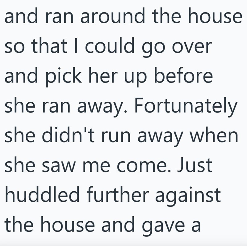 and ran around the house so that I could go over and pick her up before she ran away. Fortunately she didn't run away when she saw me come. Just huddled further against the house and gave a
