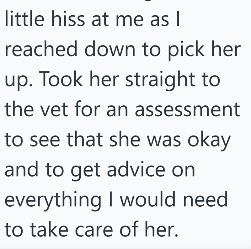 little hiss at me as I reached down to pick her up. Took her straight to the vet for an assessment to see that she was okay and to get advice on everything I would need to take care of her.