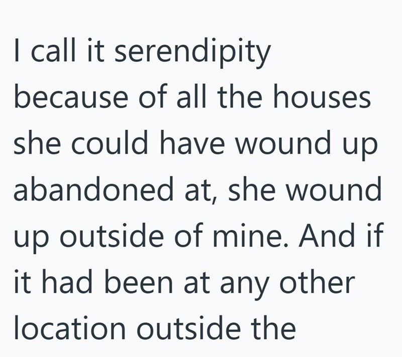 I call it serendipity because of all the houses she could have wound up abandoned at, she wound up outside of mine. And if it had been at any other location outside the