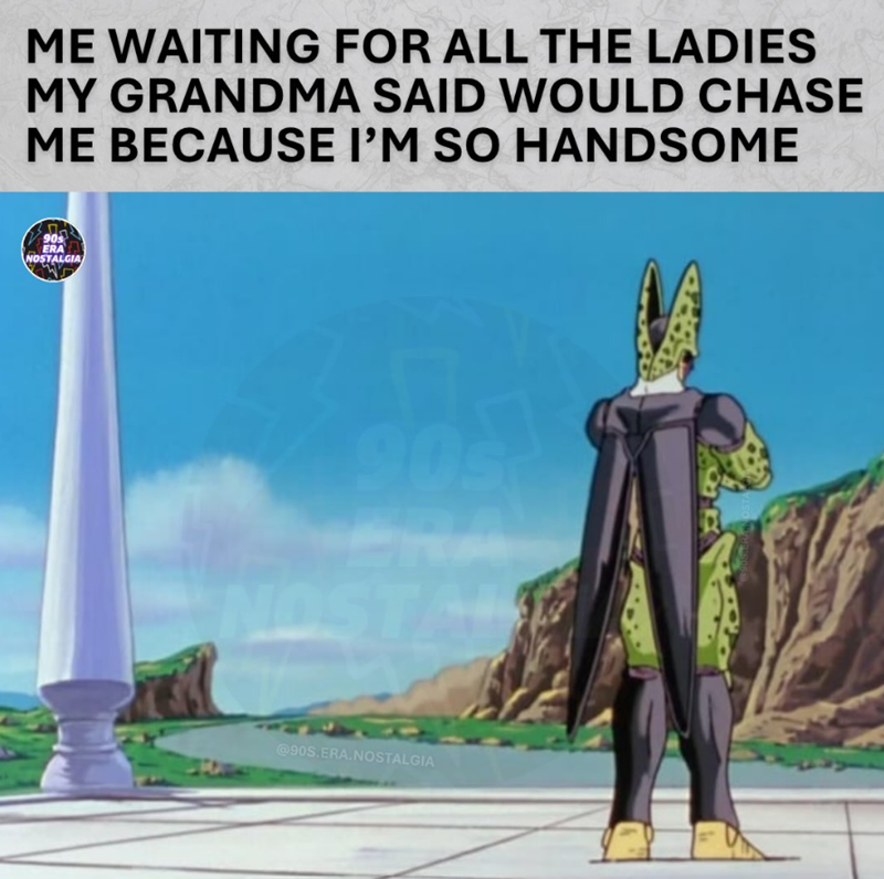 ME WAITING FOR ALL THE LADIES MY GRANDMA SAID WOULD CHASE ME BECAUSE I'M SO HANDSOME 90s ERA NOSTALGIA 903 ERA @90S.ERA.NOSTALGIA