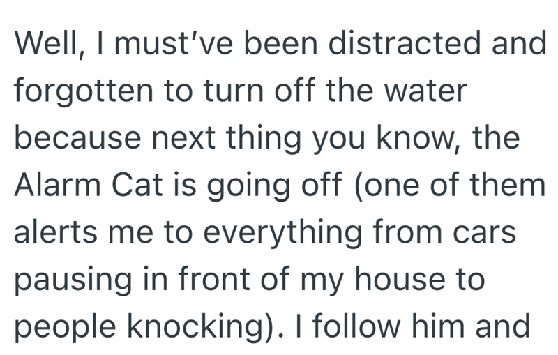 Well, I must've been distracted and forgotten to turn off the water because next thing you know, the Alarm Cat is going off (one of them alerts me to everything from cars pausing in front of my house to people knocking). I follow him and