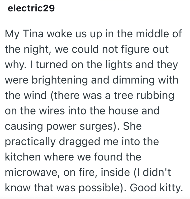 electric29 My Tina woke us up in the middle of the night, we could not figure out why. I turned on the lights and they were brightening and dimming with the wind (there was a tree rubbing on the wires into the house and causing power surges). She practically dragged me into the kitchen where we found the microwave, on fire, inside (I didn't know that was possible). Good kitty.
